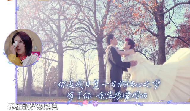 细胞分裂6